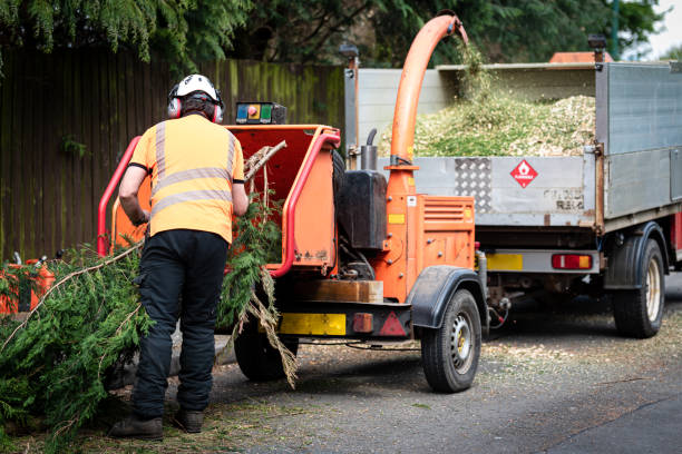 Leaf Removal in Punxsutawney, PA